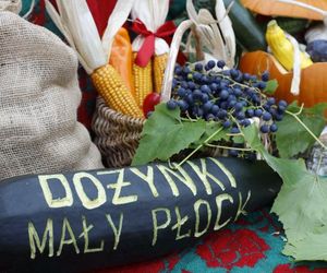 Wojewódzkie dożynki w Małym Płocku. Tak mieszkańcy regionu podziękowali za plony [ZDJĘCIA]