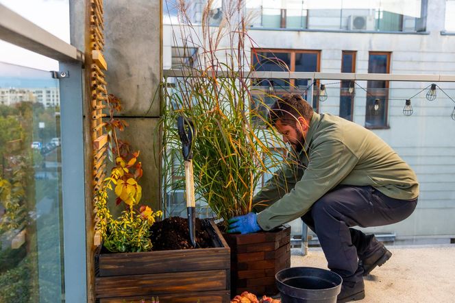 Jesienna metamorfoza balkonu