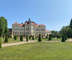 Pałac w Rogalinie zachwyca turystów. Znajduje się 20 kilometrów od Poznania 
