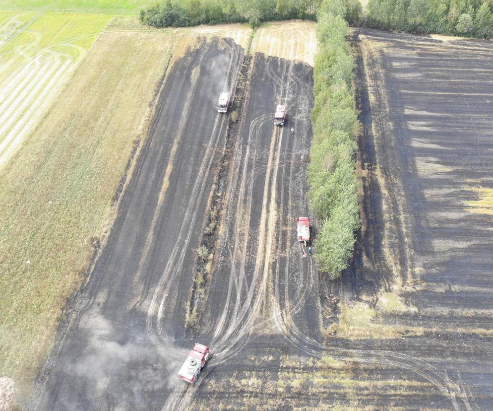 Potężny pożar pola w woj. lubelskim. Z dymem poszło 15 ha 