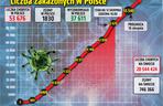 Koronawirus w Polsce. Statystyki, wykresy, grafiki (12 sierpnia)