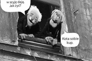 „Kobiety dają w szyję” – memy po słowach Jarosława Kaczyńskiego