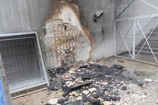 Pożar na stadionie w Grudziądzu! Podpalacz został namierzony 