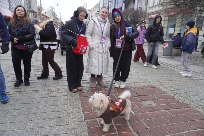 33. Finał WOŚP w Kielcach. Ulica Sienkiewicza