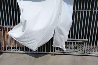 Sposób na upały w schronisku dla zwierząt w Henrykowie koło Leszna. Psy przed słońcem będą osłaniać rolety [ZDJĘCIA]