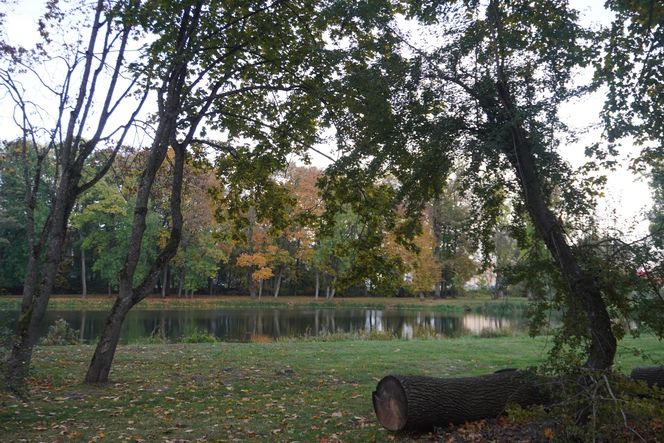 Park Lubomirskich w Białymstoku jesienią 