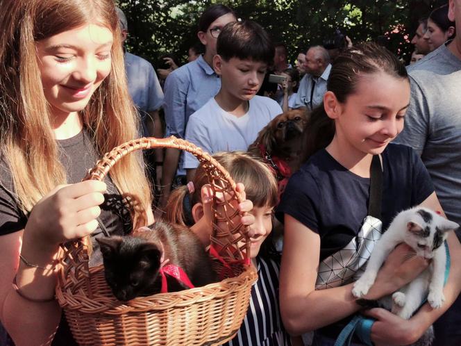 Zwierzęta po raz kolejny poświęcone w Mikstacie