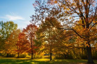 Wszystkich Świętych 2025. IMGW zapowiada pogodową niespodziankę w województwie śląskim?