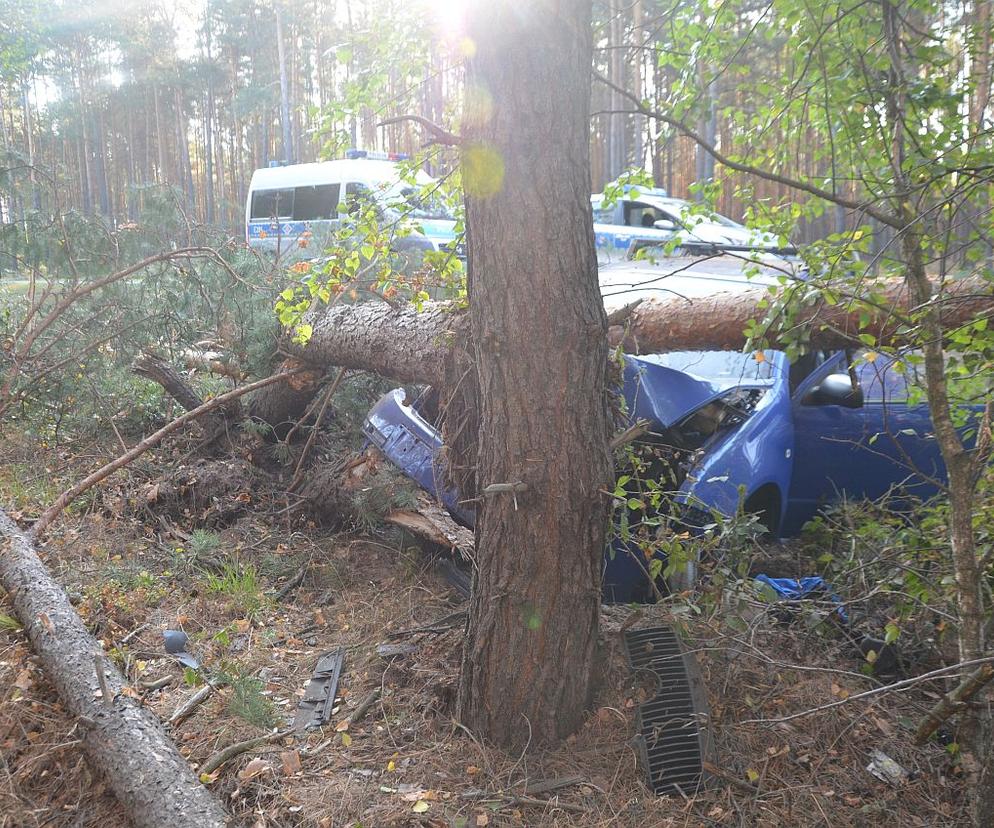 Młoda kobieta zginęła w wypadku. Opel roztrzaskał się na drzewie 