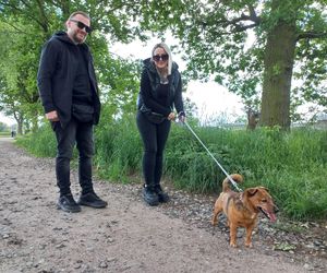 „Wszystkie psiaki nasze są” w schronisku w Henrykowie koło Leszna
