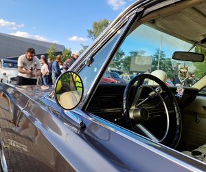 Zabytki pod chmurką. Bydgoskie Klasyki znów przyciągnęły tłumy pod Torbydem