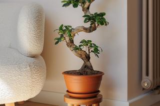 Biel i drewno na poddaszu