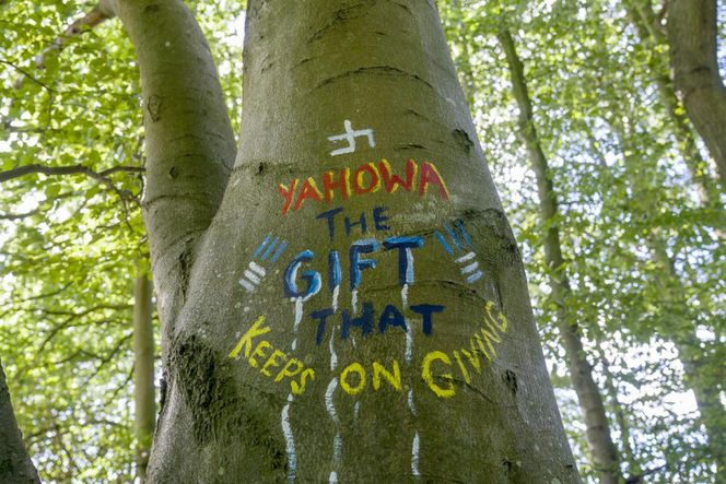 Ogłosił się królem i założył królestwo w lesie! Awantura w Szkocji