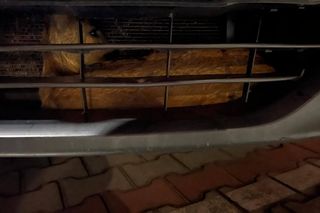 Wypadek pod Łaskiem. Sarna zaklinowała się między zderzakiem a chłodnicą pojazdu