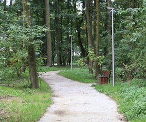 Zabytkowy park pod Lubawą zmienił się nie do poznania. Teraz wygląda jak z bajki