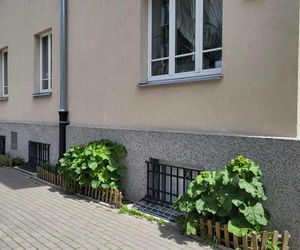 Mieszkanka Mokotowa musi zapłacić karę za posadzenie kwiatów. Kwota powala na kolana! Urząd mówi jasno