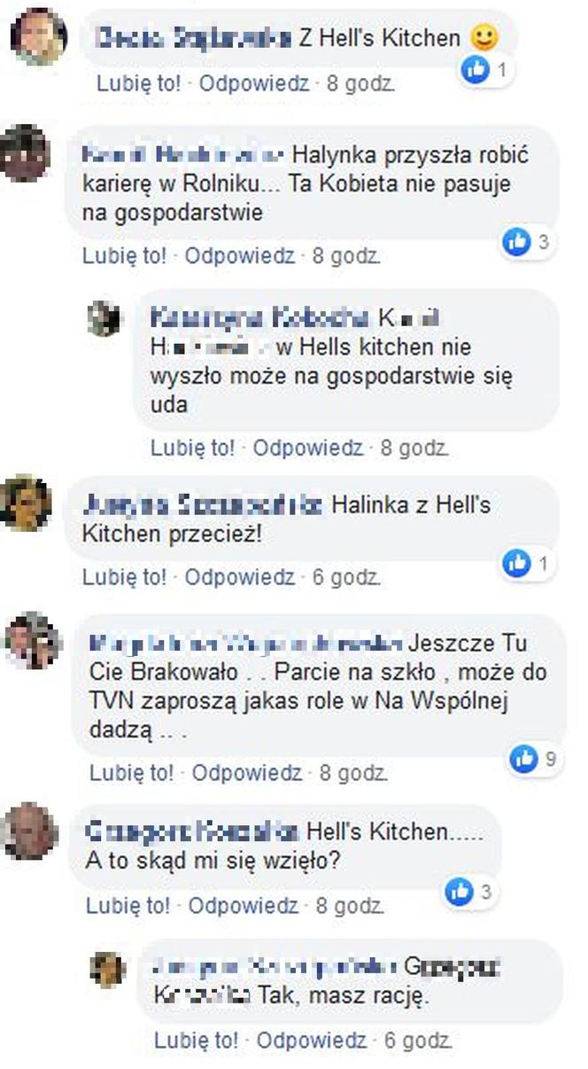 Halina Miszewska: "Rolnik szuka żony", "Hell's Kitchen"