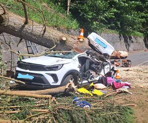 Tragiczny wypadek w Karkonoszach! Drzewo spadło na jadący samochód. Zginęły dwie kobiety i chłopiec