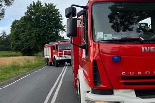 Wypadek na DK-19 w Woźnikach. Auto dachowało!