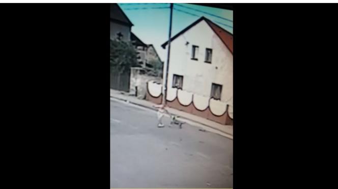 Pies RZUCIŁ SIĘ na młodą kobietę