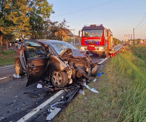 Tragiczny wypadek na DK 15 pod Mogilnem! Nie żyje 15-latek [ZDJĘCIA]