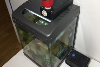 Automatyczny karmnik dla rybek. Smart Home na własną rękę