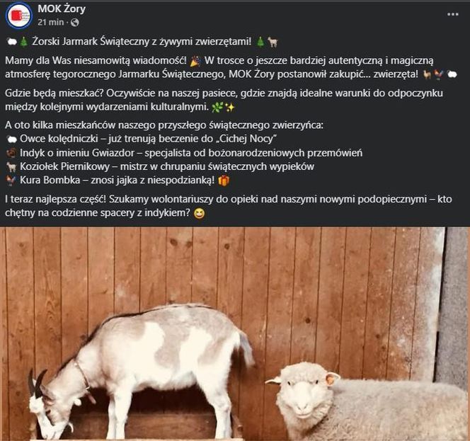 Śląsk wkręca się w Prima Aprilis