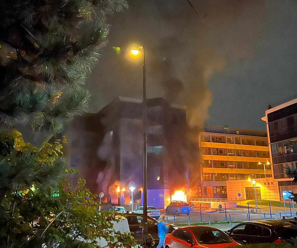 Pożar Uniwersytetu Przyrodniczego we Wrocławiu! Najpierw zapalił się śmietnik 