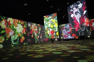 Multisensoryczna wystawa Vincenta van Gogha