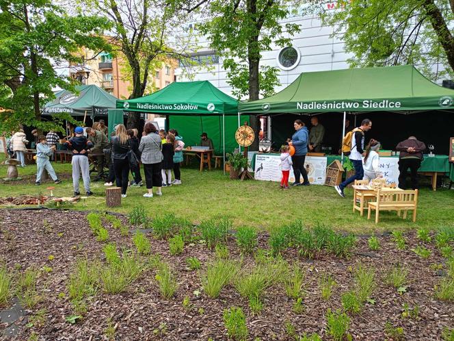 Stoiska wystawców podczas Jarmarku św. Stanisława można odwiedzać w godz. 10.00-18.00 w dn. 10 i 11 maja