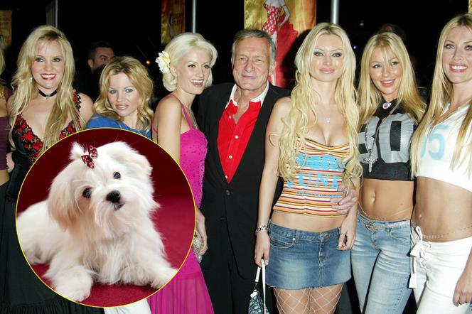 Hugh Hefner uprawiał seks z psem?! Szokujące oskarżenia wobec założyciela Playboya