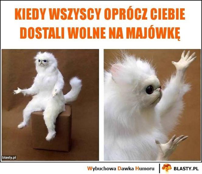 Majówka 2023 zbliża się wielkimi krokami! Zobacz najlepsze memy!