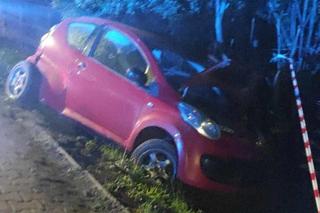 16-latek wziął młodszych kolegów na przejażdżkę. Rodzice nic nie wiedzieli, a auto wylądowało w rowie