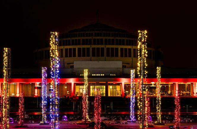 Pergolę warto odwiedzić również zimą! Zobacz pokazy świątecznych iluminacji [ZDJĘCIA]