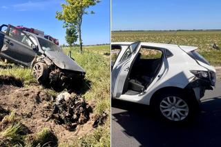 Silnik wypadł do rowu, koła oderwane. Trzy osoby ranne w makabrycznym wypadku 