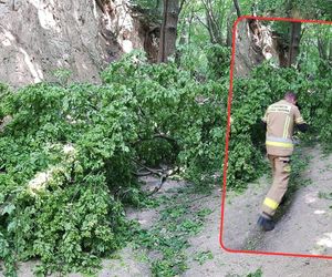 Dramat na wycieczce szkolnej w Kazimierzu Dolnym! Dzieci i opiekunowie przygnieceni 