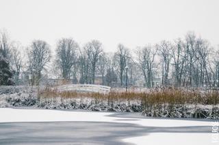 Zima może być piękna! Niedziela powitała mieszkańców województwa kujawsko-pomorskiego śniegiem! [ZDJĘCIA]