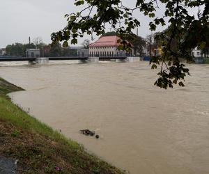 Nysa. Trwa ewakuacja mieszkańców