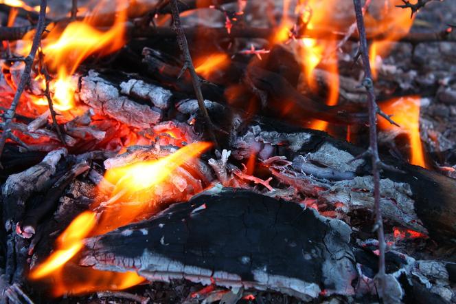 Tragedia w Czarnej Sędziszowskiej. W pożarze domu zginął 63-letni mężczyzna [GALERIA ZDJĘĆ]