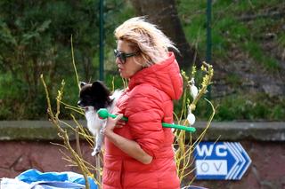 Szakira cierpliwie czekała na pancię