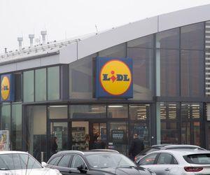 Lidl rozdaje gratisy. Mięso, słodycze, olej i mleko w świetnych cenach