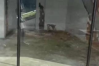  Dom Wielkiego Brata w totalnej ruinie. Uczestniczka programu zszokowana tym, co zastała w luksusowej willi