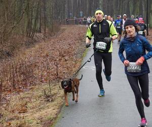 City Trail w Bydgoszczy. Miłośnicy biegania opanowali Myślęcinek [ZDJĘCIA]