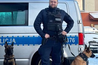 Nietypowa oferta pracy. Poszukują opiekuna psa przewodnika