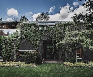 Witamy w dżungli. Jungle House – dom cały w zieleni