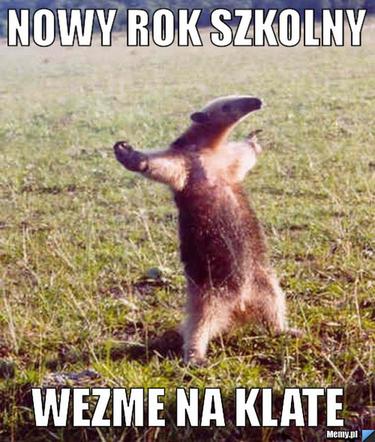 Rozpoczęcie roku szkolnego 2019 - MEMY i śmieszne obrazki! 