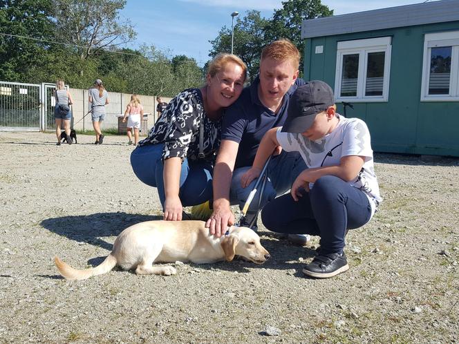 Schronisko dla bezdomnych zwierząt w Henrykowie będzie większe. Powstanie przy nim cmentarz dla zwierząt