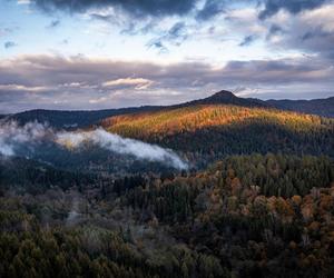  Jesień w Bieszczadach