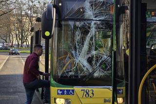 Zderzenie autobusów w Szczecinie 