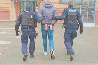 Aresztowani, którzy porwali i pobili strusia Zenka